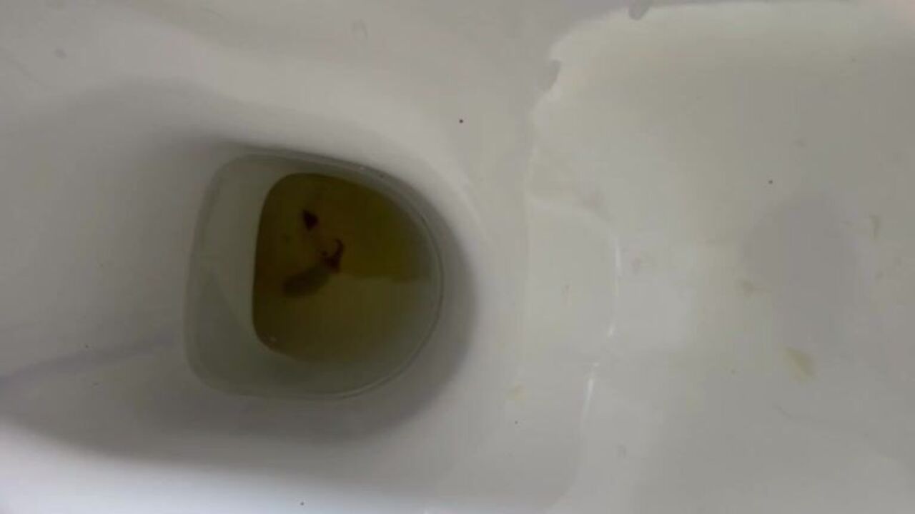 Watch this filthy porn video of a scatty slut getting her ass pumped and shitting in delight