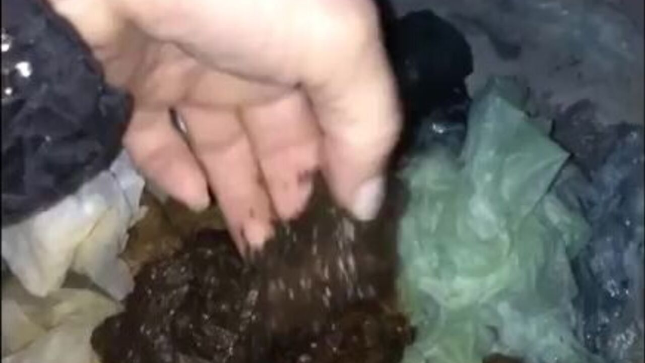 Watch All My Scat Movie: A Filthy Weekend with a Scat-Eating Slut