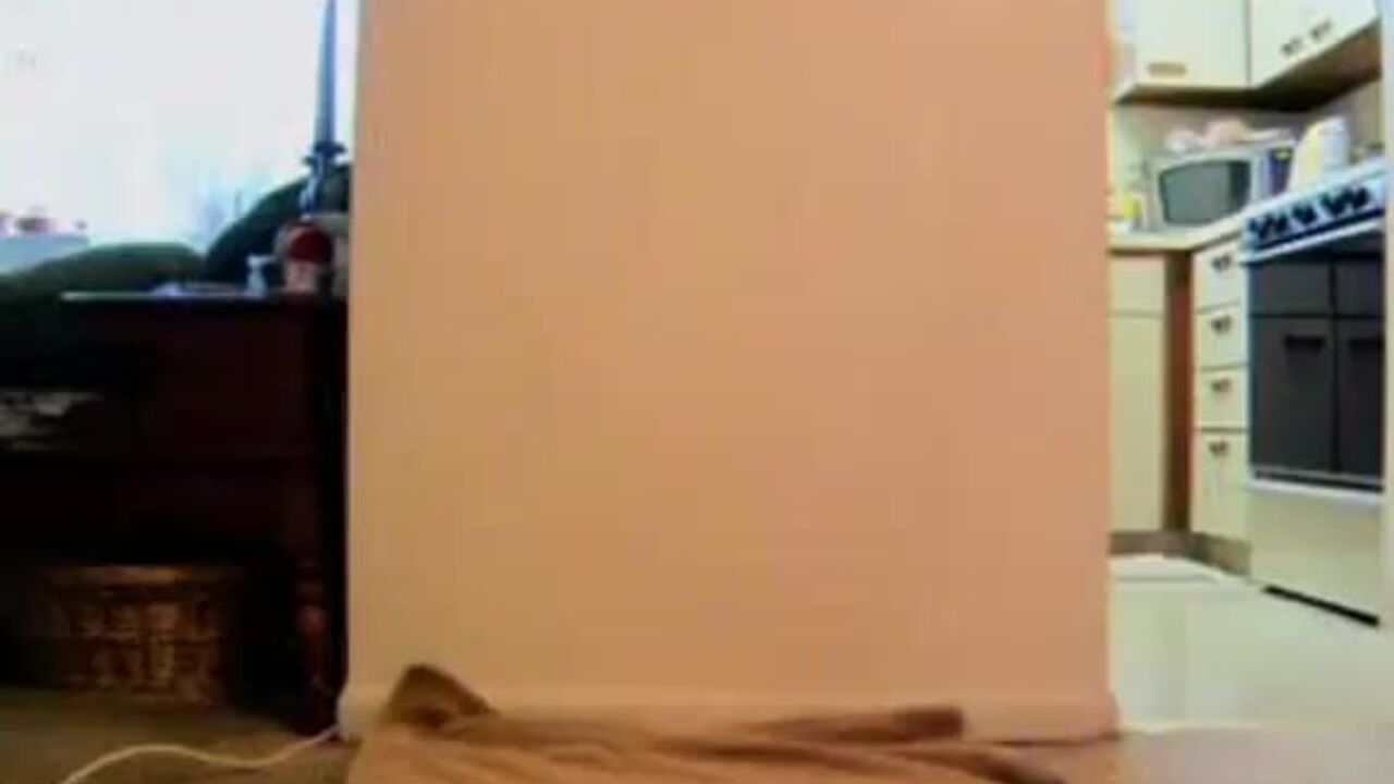 Watch this filthy slut shitting and farting like a pro