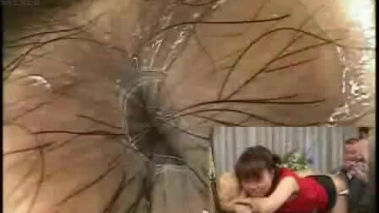 Watch this kinky slave get her ass pounded in wild anal video