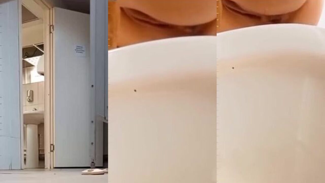 Pretty scat babe gets her holes drilled hard in a scat porn video