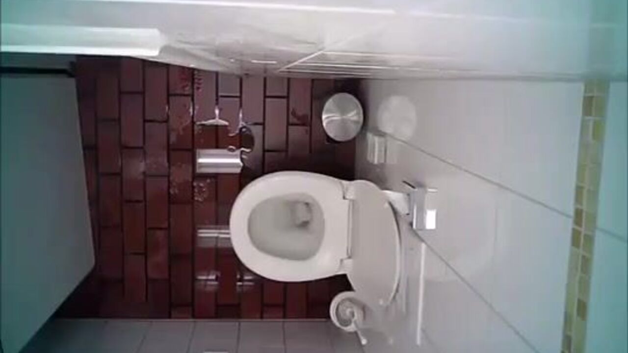 Watch this toilet cam session with a scat-obsessed woman getting her pussy and ass pumped hard