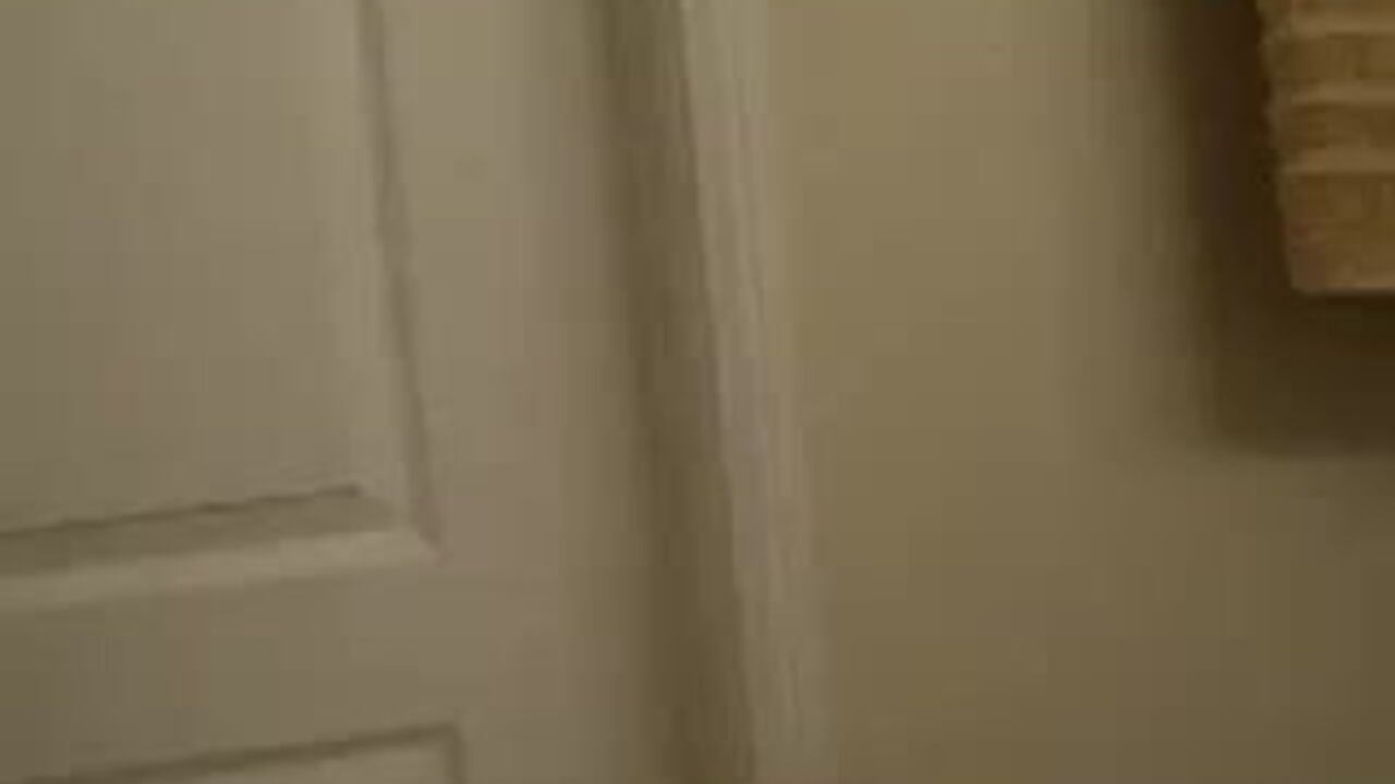 Watch Assley Shits get her scat stuffed and humiliated in this poop porn video