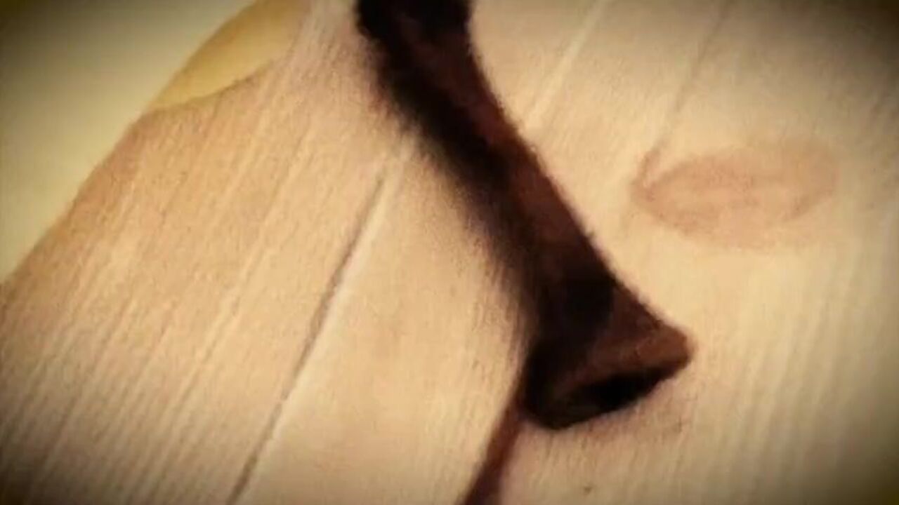 Watch S2 - Dirtybetty and Sweetbetty scat in uncensored Russian action!