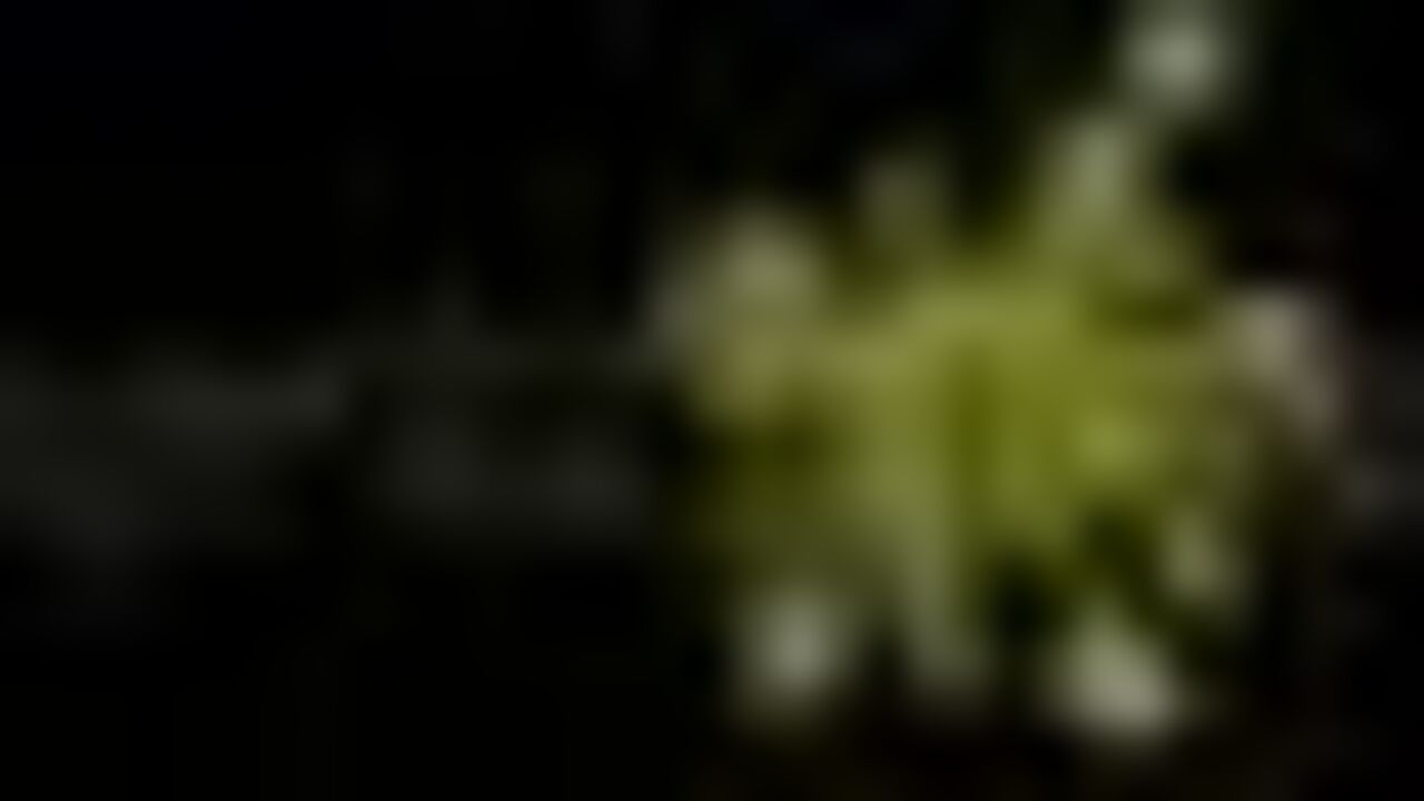 Watch this hot scat girl get her scat and pooped out in this hilarious video