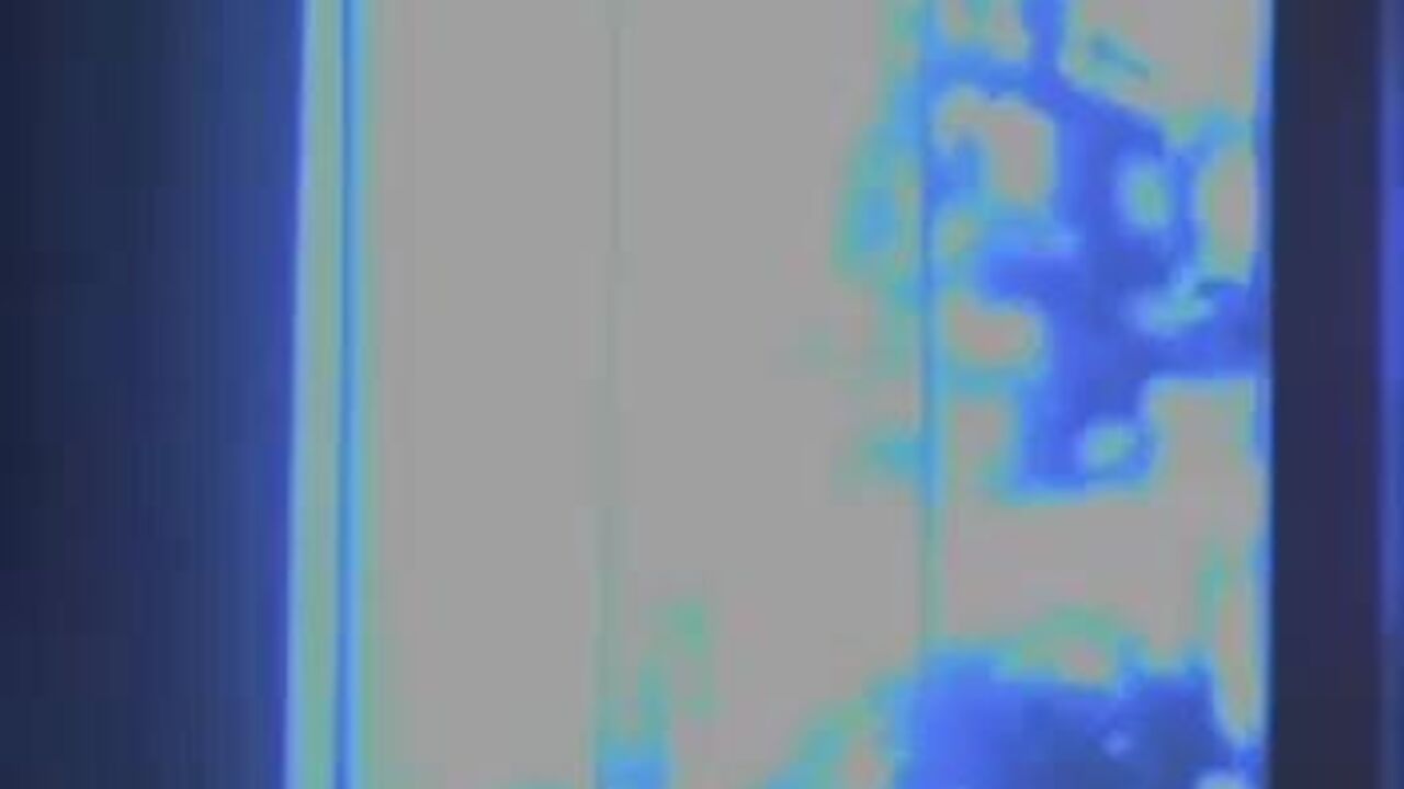 Watch this kinky scat porn video of a filthy lesbo getting her pussy pounded hard