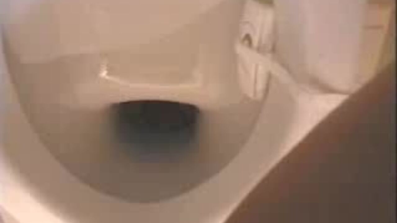 Watch these dirty sluts scat & fuck like there's no tomorrow