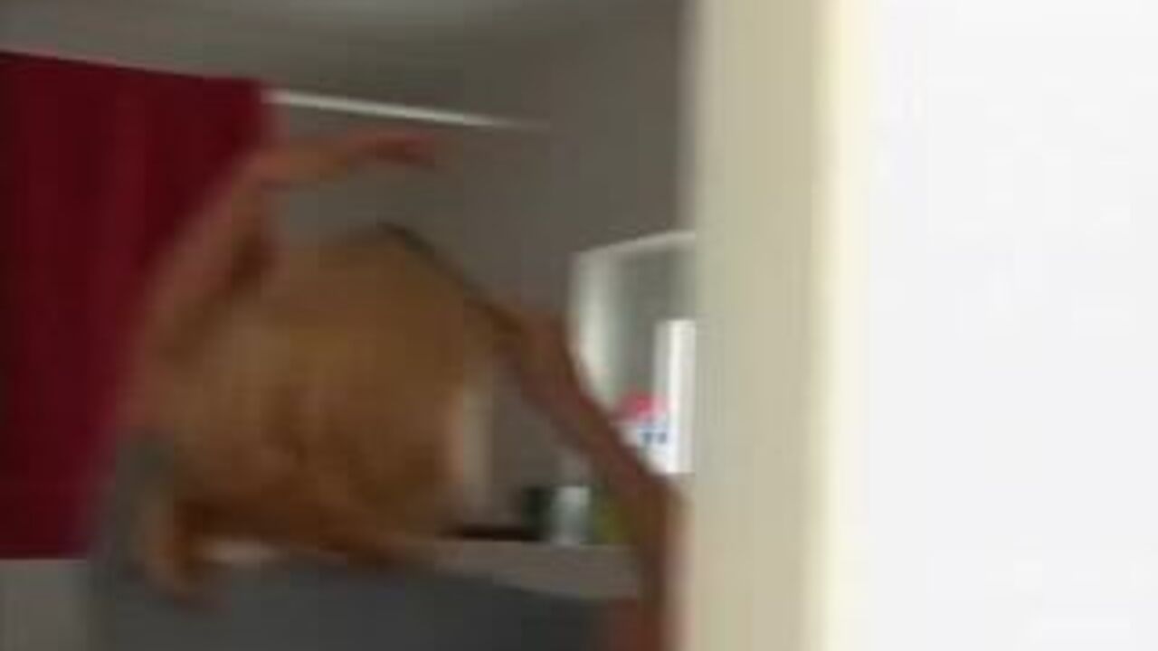 Watch this scat porn video of a filthy slave getting her ass pooped out