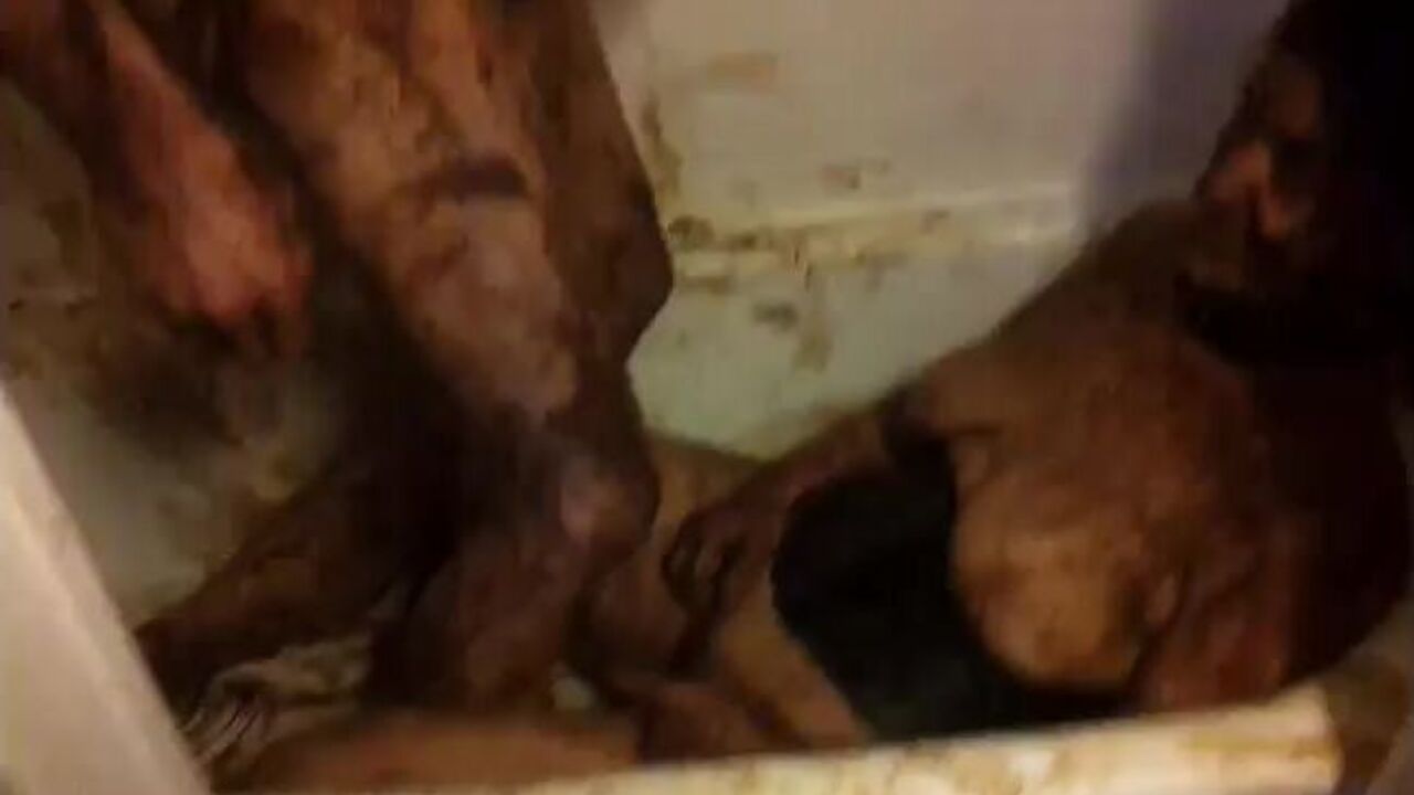 Watch Mr. Fog & Elle's hardcore anal fisting in this homemade piggy-style video