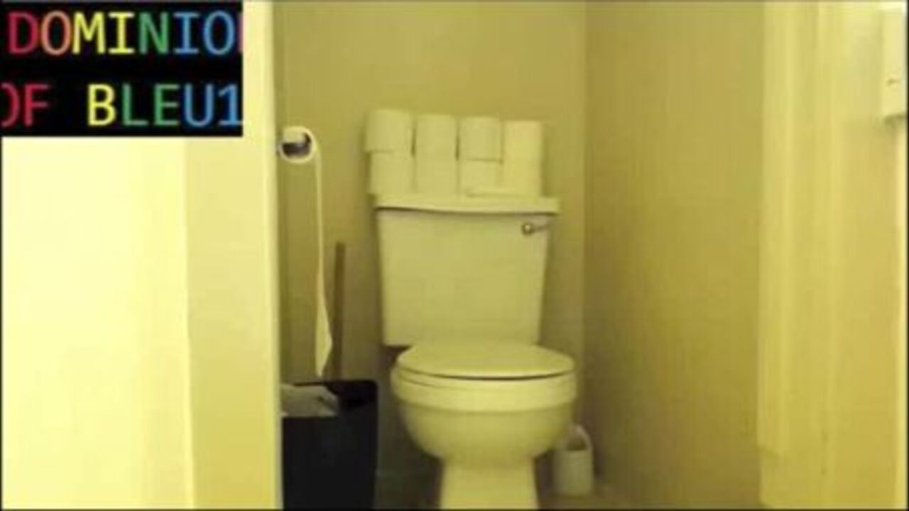 Watch this scatty slut get down and dirty in her toilet