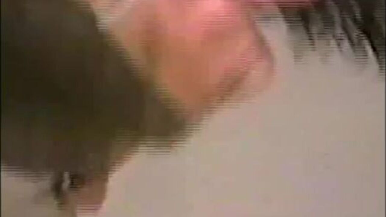 Watch how this kinky slut gets dominated and fucked in her scat