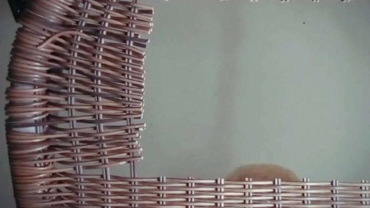 Filthina furry babe's dildo play will make you jealous!