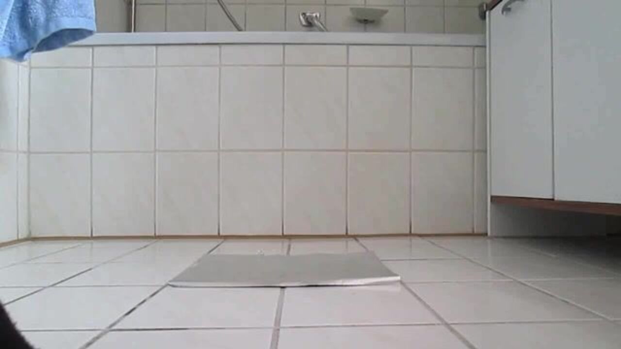 Watch this perfect monster shits like a pro!