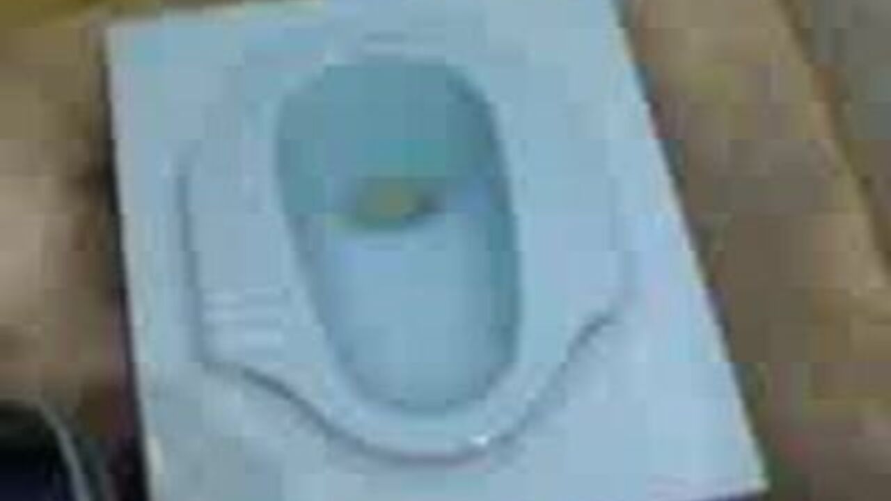 Thai slut gets her scat pounded in a hot and heavy scat video