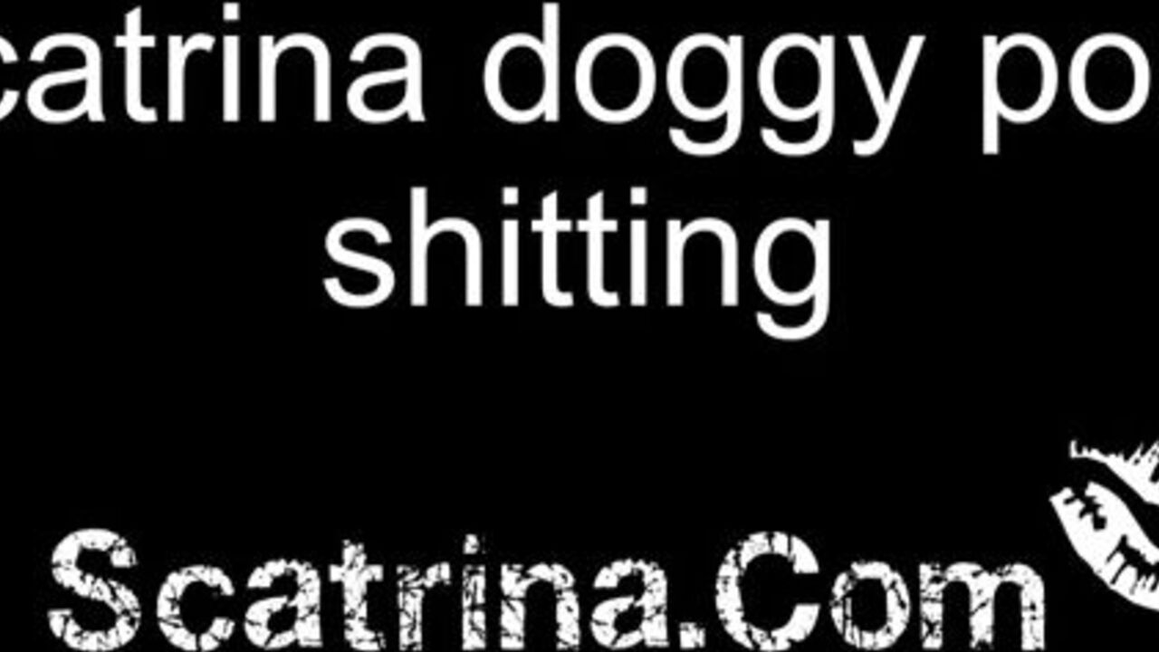 Watch this horny scat porn video of scat pornstars getting off with doggy style posing and shitting