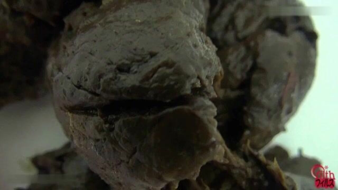 Watch these horny scat babes get off on their walks and scat like never before!