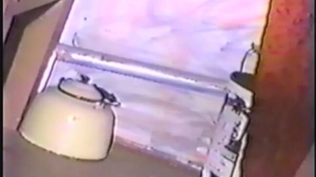 Simone drinks her own pee while getting pounded hard in scat porn