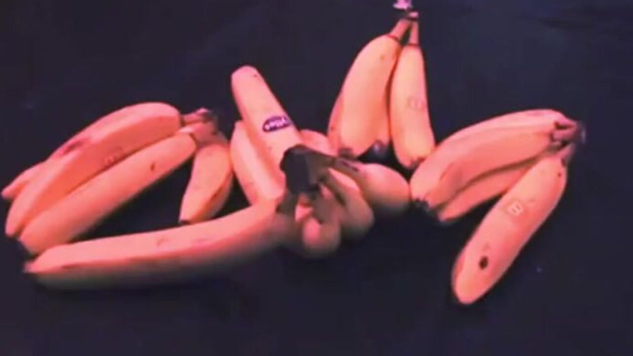 Wild party with a lot of scat and a lot of fun!