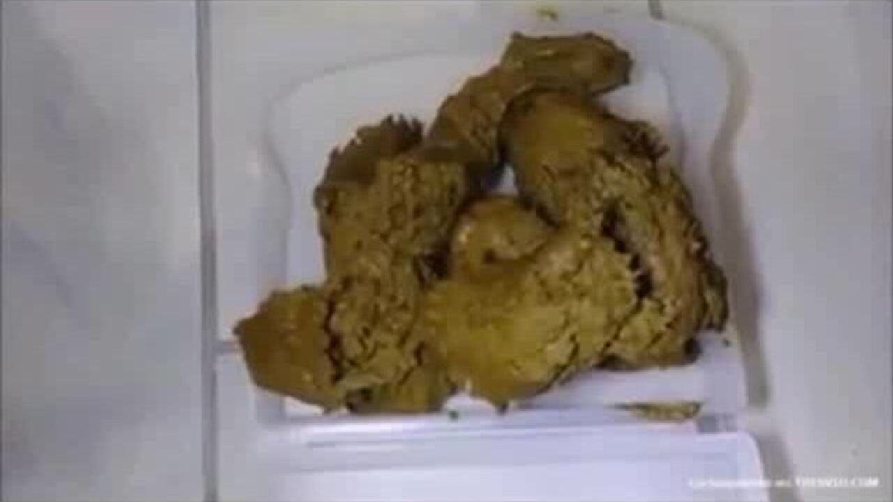 Watch as a scat slave gets drilled hard in this poop porn video!
