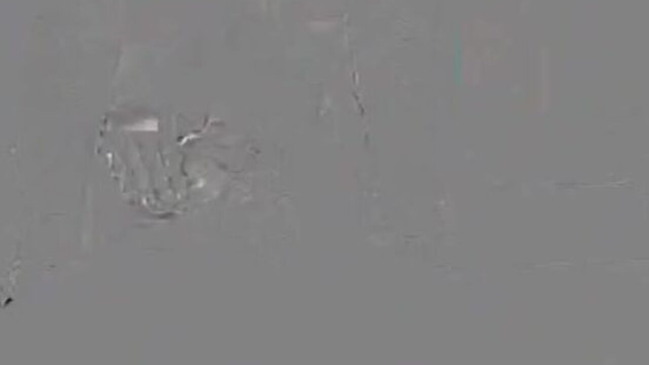 Watch these dirty mature lesbians make a mess with their scat pussies